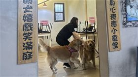 寵物餐廳犬隻遭不當管教　苗縣府開罰持續追蹤苗栗縣西湖鄉知名寵物餐廳遭民眾檢舉不當對待犬隻，縣府1日晚間透過新聞稿表示，經動防所會同警方稽查，陳姓飼主業者坦承曾對黃金獵犬有逾越合理管教行為，已裁罰7.5萬元並持續追蹤。（苗栗縣政府提供）中央社記者管瑞平傳真115年5月1日