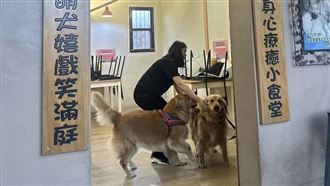 苗栗寵物餐廳爆虐狗！縣府出手安置10犬