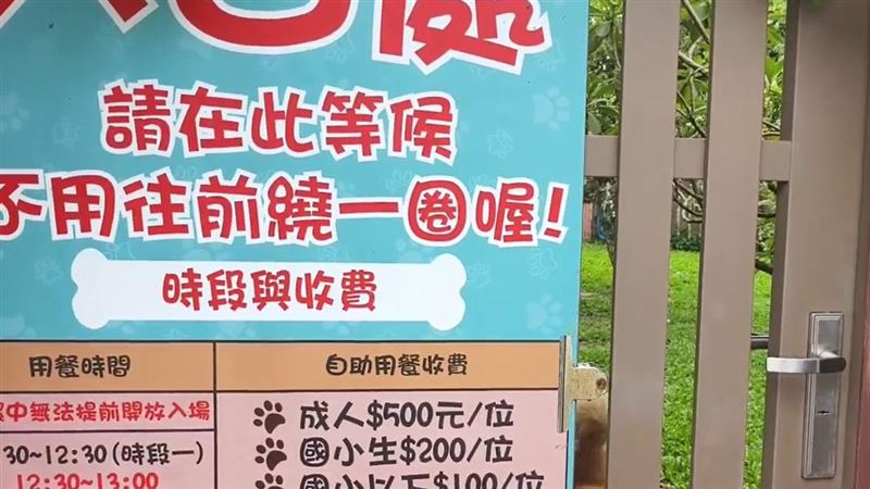 苗栗西湖網紅餐廳「獵犬不打獵」，遭民眾檢舉疑虐待犬隻，老闆則喊冤是誤會。（圖／翻攝畫面）