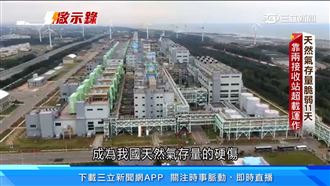 天然氣緊繃、綠能延宕　能源多元成關鍵