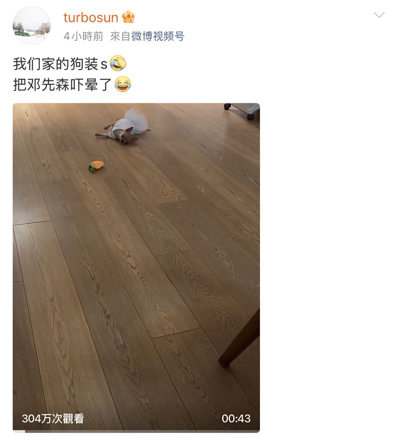 孫儷透露愛犬把鄧超嚇壞了。（圖／翻攝自微博）