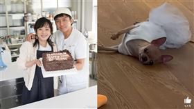 孫儷透露愛犬把鄧超嚇壞了。（圖／翻攝自微博）