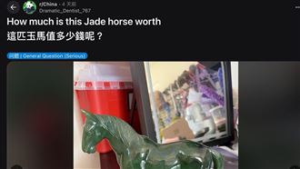 朋友送的「傳家寶」？網曬碧綠玉馬求估價