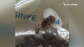 獨／喝珍奶變調　民眾喝50嵐控吃到菜瓜布