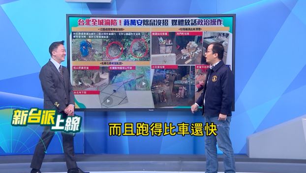 鼠患多嚴重？媒體人驚見北市幹道「飆鼠」