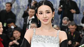 Karina首次出席Met Gala，一身典雅造型驚豔全場。（圖／美聯社／達志影像）