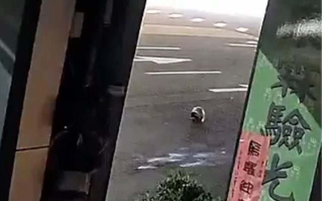 老翁遭撞擊後，安全帽掉落地面。（圖／翻攝畫面）
