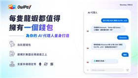 奧丁丁集團推出AI代理錢包「OwlPay Agent Wallet」搶攻5兆美元商機。用戶憑簡單對話指令，即可授權AI自動完成跨國匯款與穩定幣收發；未來更將串接Visa Direct，實現法幣無縫出入金。（圖／奧丁丁提供） 