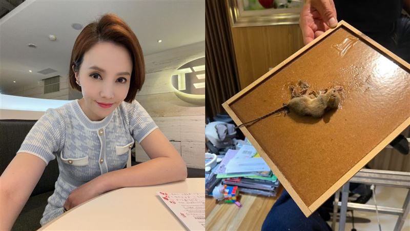 美女主播王偊菁近期安排清洗冷氣，竟意外在冷氣機內發現一隻被黏鼠板捕獲的老鼠，驚悚畫面讓她崩潰直呼「要昏倒了」（圖／翻攝自王偊菁臉書）