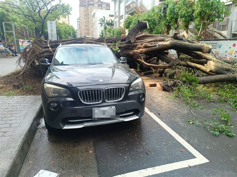 老榕樹因不明原因倒塌，砸毀2輛車。（圖／翻攝畫面）