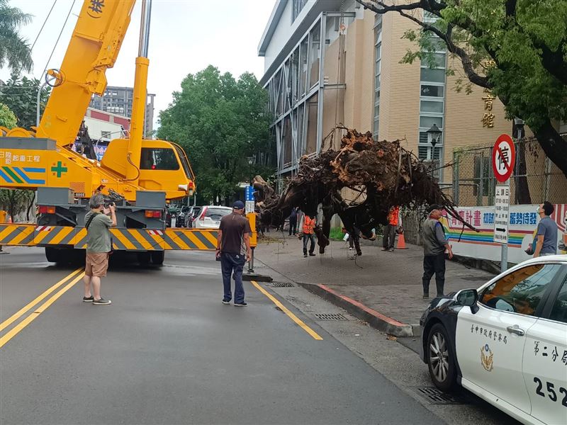 養工處稍早已經派員前往清運。（圖／翻攝畫面）
