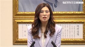 國民黨主席鄭麗文中常會談話（圖／翻攝畫面）