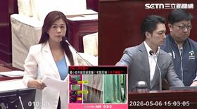 洪婉臻質詢北市鼠患議題，直言老鼠已經進入校園並啃食窗簾。（圖／翻攝畫面）