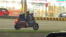 特技畫面曝！街頭赫見「黑狗騎車狂飆」騎士蹲腳踏墊　網傻眼怒斥（圖／翻攝自Threads @93_07_05）