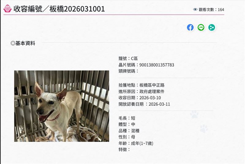 板橋動物之家收容編號。（圖／翻攝畫面）