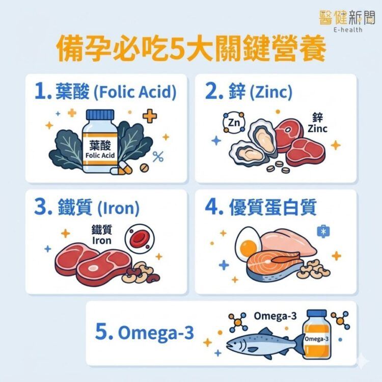 備孕必吃5大關鍵營養素與食物！（圖／醫健新聞網提供）
