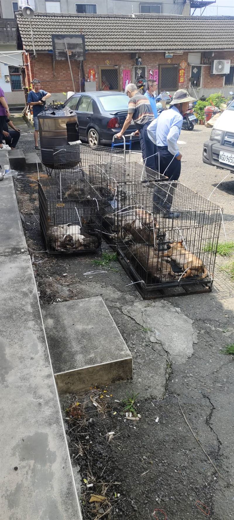 彰化動防所執行沒入犬隻作業，遭飼主暴力反抗。(圖／翻攝畫面)