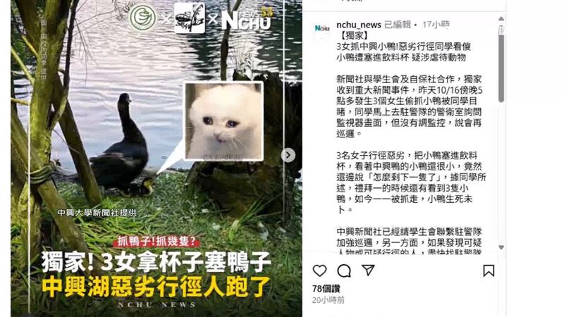 甚至過往還有三名女子，拿紙杯裝小鴨外帶。（圖／翻攝中興大學新聞社提供）