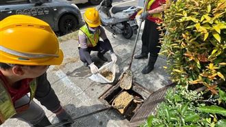 台中滅鼠總動員！查獲鼠未改善最高罰2億