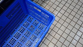 北市衛生局稽查大直典華驚見蟑螂。（圖／北市衛生局提供）
