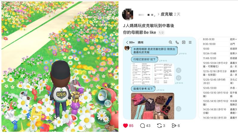 母親節變行軍？J人媽衝嘉義瘋皮克敏，網見「1神鞋」驚呆：職業級玩家。（圖／翻攝畫面）
