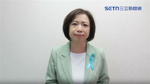 盧秀燕備詢反嗆議員　何欣純：傲慢、卸責