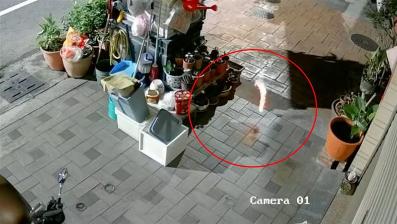 一顆冒著星火的球體滾過來，下一秒瞬間引爆。（圖／翻攝畫面）