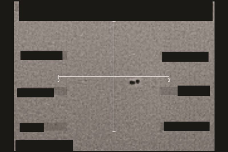 聯邦調查局發布的照片​​顯示有兩個黑點。（圖／翻攝war.gov/UFO/）