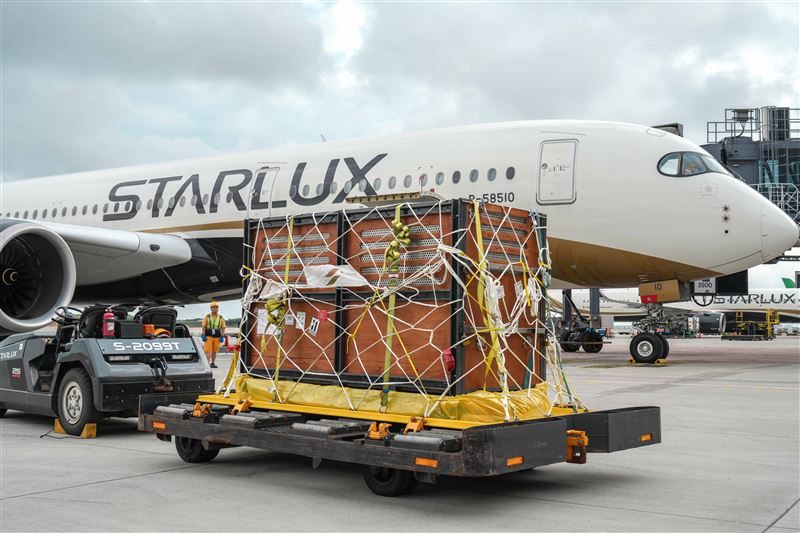 上機前，依照IATA CEIV AVI規範進行檢查，並提前調節貨艙溫度，以提供舒適溫度及環境。（圖／星宇航空提供）