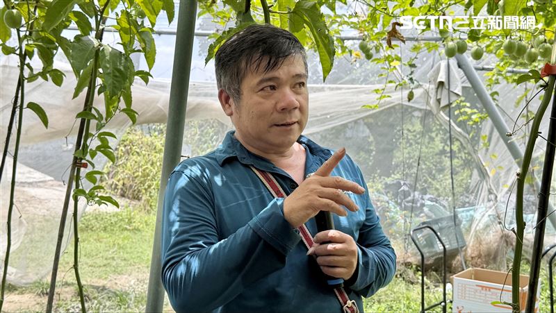 美濃農友吳成璽曾於民國110年獲傑出農民表揚。（圖／記者賴俊佑攝影）