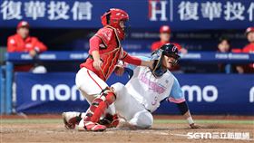 中職37年例行賽，富邦悍指定打擊王勝偉靠林澤彬安打回本壘得分。（圖／記者劉彥池攝影）