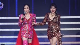 王彩樺與張秀卿一同登台演出，笑果不斷。（圖／高流提供）