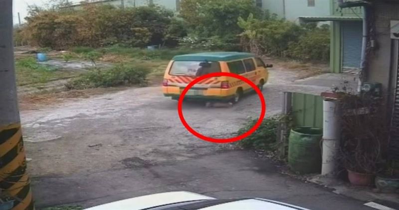 娃娃車闖私地雙輪輾殺狐狸犬，毛孩當場慘死。（圖／翻攝畫面）