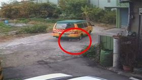 娃娃車闖私地雙輪輾殺狐狸犬，毛孩當場慘死。（圖／翻攝畫面）