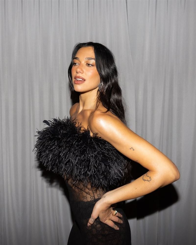 英國流行天后Dua Lipa（杜娃&middot;黎波）開告三星企業。（圖／翻攝自IG @dualipa）