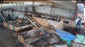 越南嘉萊省於7日發生駭人工安意外，一名男工人在操作乳膠粉碎機時，因手套與工具遭原料纏繞，瞬間被強大拉力扯入機器慘死。（圖／翻攝自X平台 @oldchang1978）