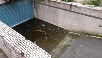 民怨像末日！北市廢棄停車場積水長青苔
