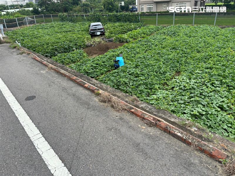 苗栗市發生酒駕墜田車禍，20歲男子開車衝進南瓜田受困。（圖／翻攝畫面）
