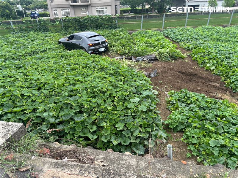 男酒駕衝進南瓜田，一大片南瓜慘遭車輛剷平（圖／翻攝畫面）