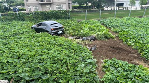 苗栗20歲男酒駕出事了！衝進南瓜田遭法辦