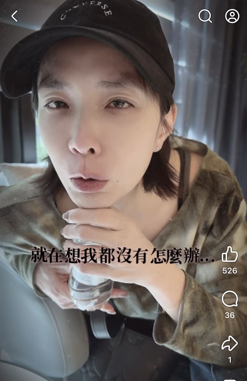 湘瑩求子路不順，至今無法順利懷孕。（圖／翻攝自臉書）