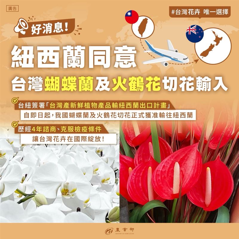 台灣蝴蝶蘭及火鶴花切花正式獲准出口紐西蘭。(圖/農業部提供)