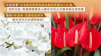 台灣蝴蝶蘭及火鶴花切花正式獲准出口紐西蘭。（圖／農業部提供） 