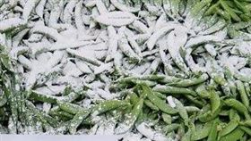 豌豆也有存在農藥檢驗不合格。（圖／台北市市場處提供）