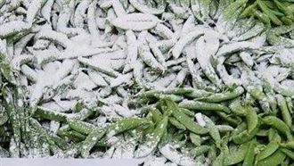 最髒蔬菜曝！3食材農藥超標 銷毀數百公斤