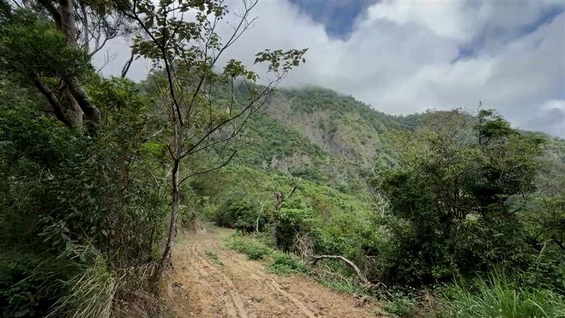 馬修獨自登山失聯。（圖／翻攝畫面）