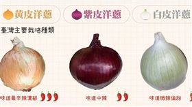 農業部說明國產3種顏色洋蔥的差異。（圖／翻攝自農業部臉書）