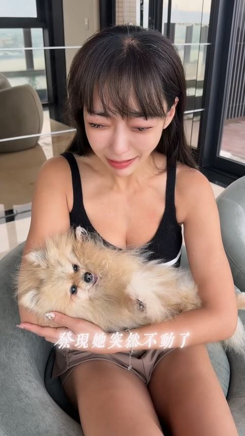 李宓淚曝愛犬離世。（圖／翻攝自李宓IG）