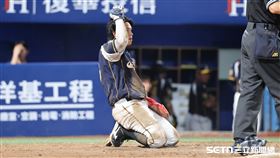 中職37年例行賽，中信兄弟追平分黃韋盛在本壘前出局。（圖／記者劉彥池攝影）