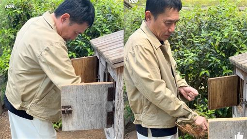 63歲男星零偽裝農舍撿雞蛋　田園生活曝光